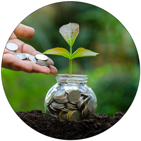 Tandia Save and Invest